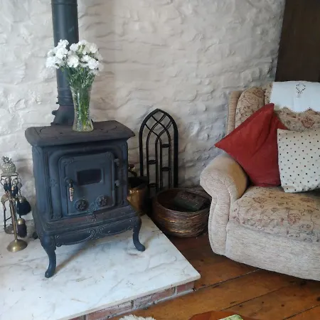 Cwmddol Fawr Cottage Carmarthen Exterior photo