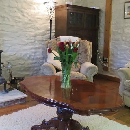 Cwmddol Fawr Cottage Carmarthen Exterior photo