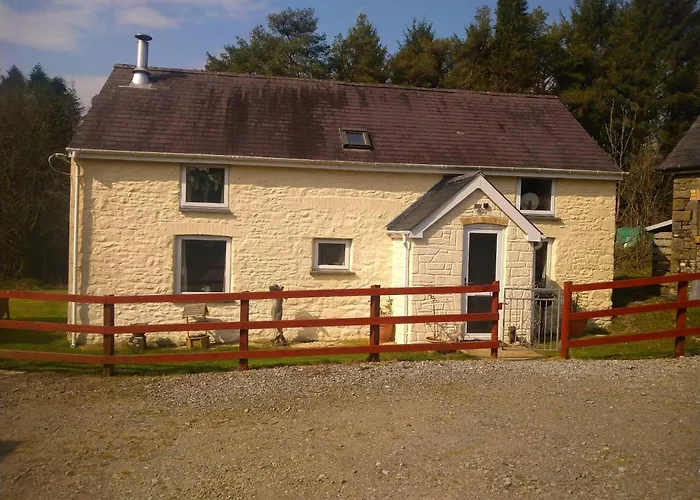 Cwmddol Fawr Cottage