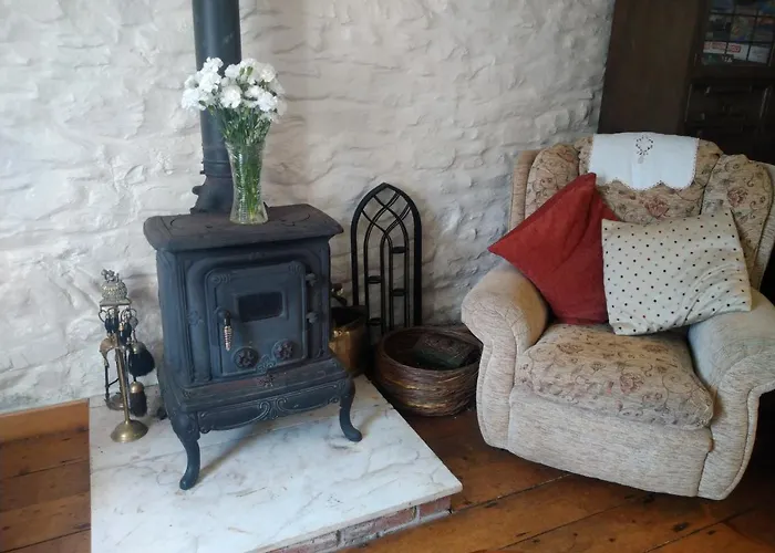 Cwmddol Fawr Cottage