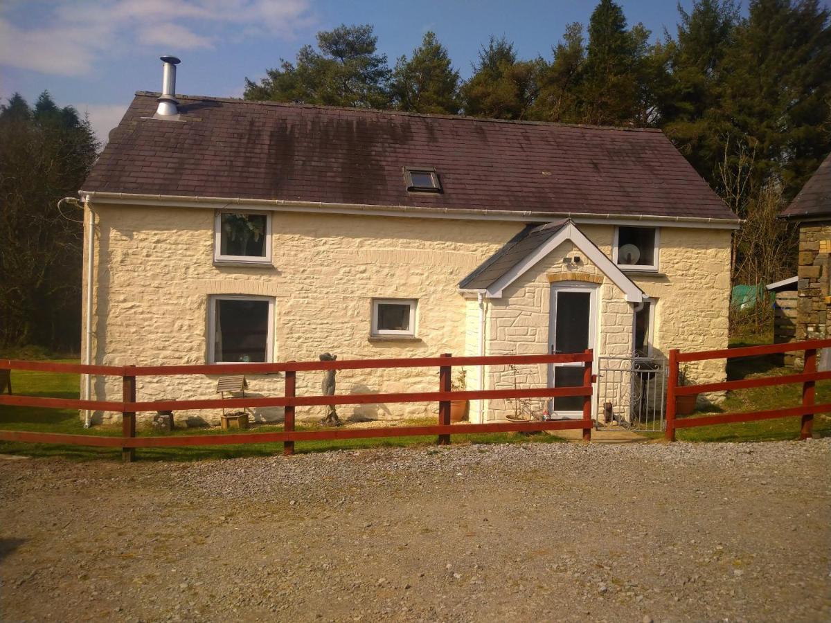 Cwmddol Fawr Holiday home