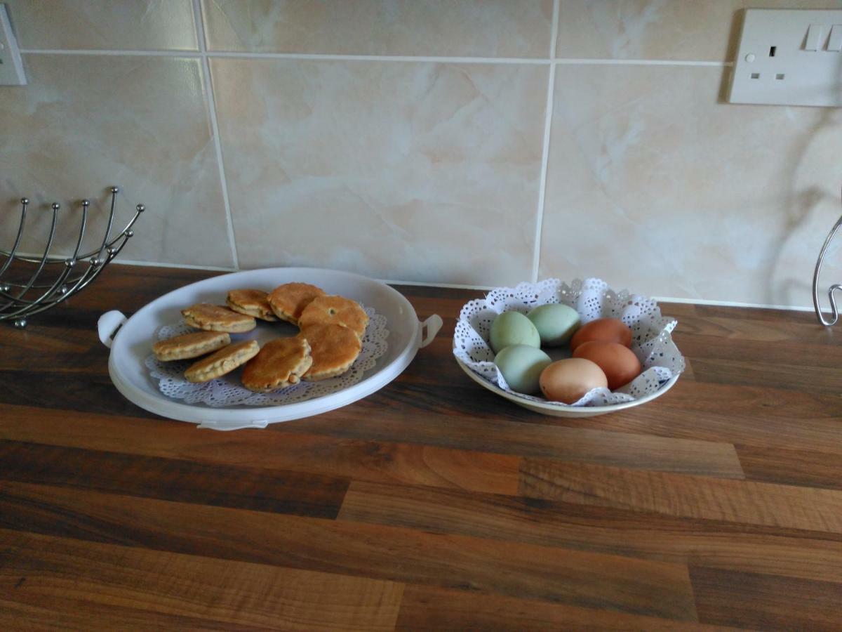 Holiday home Cwmddol Fawr Carmarthen