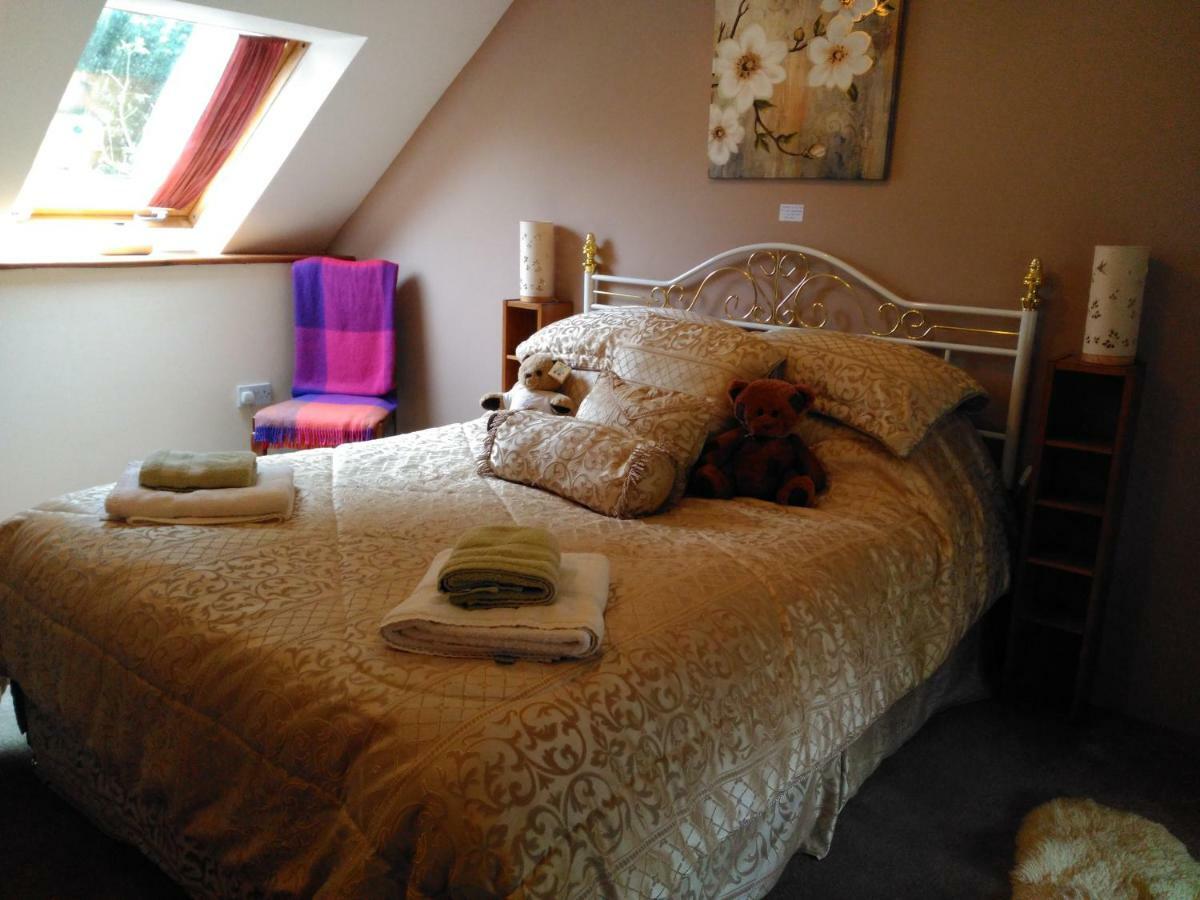 Holiday home Cwmddol Fawr